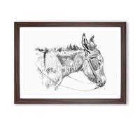 Big Box Art The Head of a Donkey by Jean Bernard Framed Wall Art Picture Print Ready to Hang, Walnut A2 (62 x 45 cm)