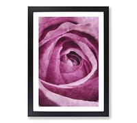 Big Box Art The Heart of a Pink Rose Painting Framed Wall Art Picture Print Ready to Hang, Black A2 (62 x 45 cm)