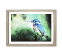 Big Box Art The Kingfisher Bird Looking West Painting Framed Wall Art Picture Print Ready to Hang, Oak A2 (62 x 45 cm)