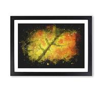 Big Box Art The Leaf of a Sycamore Tree Paint Splash Framed Wall Art Picture Print Ready to Hang, Black A2 (62 x 45 cm)
