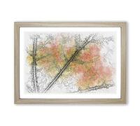 Big Box Art The Leaf of a Sycamore Tree Sketch Framed Wall Art Picture Print Ready to Hang, Oak A2 (62 x 45 cm)