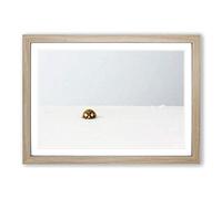 Big Box Art The Lone Ladybird Framed Wall Art Picture Print Ready to Hang, Oak A2 (62 x 45 cm)