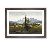 Big Box Art The Lonely Tree by Caspar David Friedrich Framed Wall Art Picture Print Ready to Hang, Walnut A2 (62 x 45 cm)