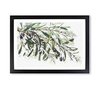 Big Box Art The Olive Branch Framed Wall Art Picture Print Ready to Hang, Black A2 (62 x 45 cm)
