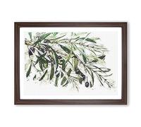 Big Box Art The Olive Branch Framed Wall Art Picture Print Ready to Hang, Walnut A2 (62 x 45 cm)