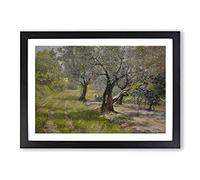 Big Box Art The Olive Grove by William Merritt Chase Framed Wall Art Picture Print Ready to Hang, Black A2 (62 x 45 cm)