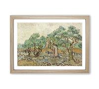 Big Box Art The Olive Orchard by Vincent Van Gogh Framed Wall Art Picture Print Ready to Hang, Oak A2 (62 x 45 cm)