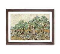 Big Box Art The Olive Orchard by Vincent Van Gogh Framed Wall Art Picture Print Ready to Hang, Walnut A2 (62 x 45 cm)