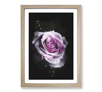Big Box Art The Pale Purple Rose Paint Splash Framed Wall Art Picture Print Ready to Hang, Oak A2 (62 x 45 cm)