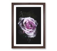 Big Box Art The Pale Purple Rose Paint Splash Framed Wall Art Picture Print Ready to Hang, Walnut A2 (62 x 45 cm)