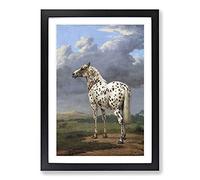 Big Box Art The Piebald Horse by Paulus Potter Framed Wall Art Picture Print Ready to Hang, Black A2 (62 x 45 cm)