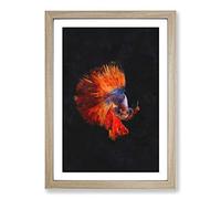 Big Box Art The Siamese Fighting Fish Painting Framed Wall Art Picture Print Ready to Hang, Oak A2 (62 x 45 cm)