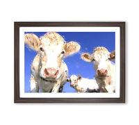 Big Box Art Three Dairy Cows in Abstract Framed Wall Art Picture Print Ready to Hang, Walnut A2 (62 x 45 cm)