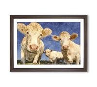 Big Box Art Three Dairy Cows Painting Framed Wall Art Picture Print Ready to Hang, Walnut A2 (62 x 45 cm)
