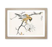 Big Box Art Tibetan Hoopoe Bird by Numata Kashu Framed Wall Art Picture Print Ready to Hang, Oak A2 (62 x 45 cm)