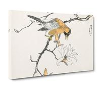 Big Box Art Tibetan Hoopoe Bird by Numata Kashu Painting Canvas Wall Art Framed Picture Print, 30 x 20 Inch (76 x 50 cm), White, Grey, Cream, Grey, Black