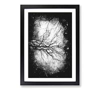Big Box Art Tree Branches in Central Park New York Paint Splash Framed Wall Art Picture Print Ready to Hang, Black A2 (62 x 45 cm)