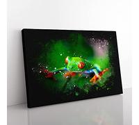 Big Box Art Tree Frog Vol.1 Paint Splash Canvas Wall Art Print Ready to Hang Picture, 76 x 50 cm (30 x 20 Inch), Black, Green, Green