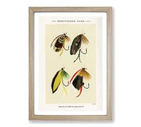 Big Box Art Trout & Bass Fishing Flies by Mary Orvis Marbury Framed Wall Art Picture Print Ready to Hang, Oak A2 (62 x 45 cm)
