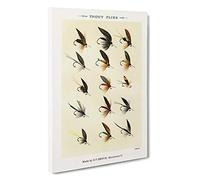 Big Box Art Trout Fishing Flies Version 7 by Mary Orvis Marbury Canvas Wall Art Framed Picture Print, 30 x 20 Inch (76 x 50 cm), White, Gold, Blue, Green, Cream