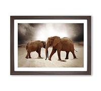 Big Box Art Two Elephants (2) Framed Wall Art Picture Print Ready to Hang, Walnut A2 (62 x 45 cm)