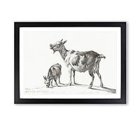 Big Box Art Two Goats by Jean Bernard Framed Wall Art Picture Print Ready to Hang, Black A2 (62 x 45 cm)