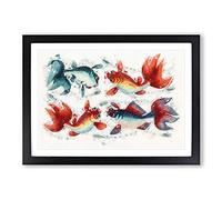 Big Box Art Two Gold & Silver Fish Framed Wall Art Picture Print Ready to Hang, Black A2 (62 x 45 cm)