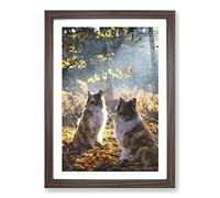 Big Box Art Two Rough Collie Dogs Painting Framed Wall Art Picture Print Ready to Hang, Walnut A2 (62 x 45 cm)