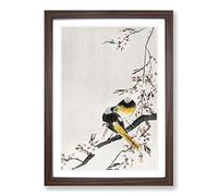 Big Box Art Two Sable Red Tails & Cherry Blossom by Ohara Koson Framed Wall Art Picture Print Ready to Hang, Walnut A2 (62 x 45 cm)