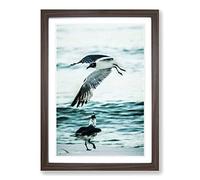 Big Box Art Two Seagulls Seascape Framed Wall Art Picture Print Ready to Hang, Walnut A2 (62 x 45 cm)