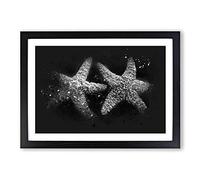 Big Box Art Two Starfish Paint Splash Framed Wall Art Picture Print Ready to Hang, Black A2 (62 x 45 cm)