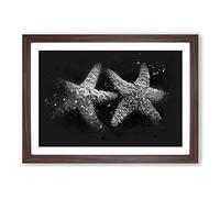 Big Box Art Two Starfish Paint Splash Framed Wall Art Picture Print Ready to Hang, Walnut A2 (62 x 45 cm)