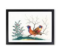Big Box Art Two Walking Birds Framed Wall Art Picture Print Ready to Hang, Black A2 (62 x 45 cm)