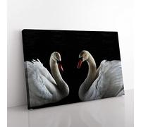 Big Box Art Two White Swans (2) Canvas Wall Art Print Ready to Hang Picture, 76 x 50 cm (30 x 20 Inch), Multi-Coloured