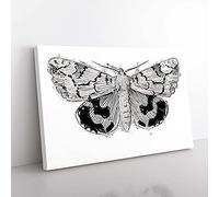 Big Box Art Underwing Moth by S.F. Denton Canvas Wall Art Print Ready to Hang Picture, 76 x 50 cm (30 x 20 Inch), White, Grey, Black, Grey
