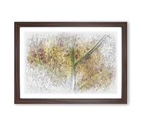 Big Box Art Veins of The Leaf Sketch Framed Wall Art Picture Print Ready to Hang, Walnut A2 (62 x 45 cm)