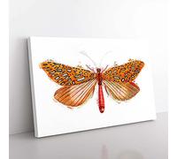 Big Box Art Venus Moth by George Shaw Canvas Wall Art Print Ready to Hang Picture, 76 x 50 cm (30 x 20 Inch), White, Brown, Cream