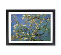 Big Box Art Vincent Van Gogh Almond Blossom Tree (2) Framed Wall Art Picture Print Ready to Hang, Black A2 (62 x 45 cm)