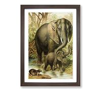 Big Box Art Vintage African Elephants & Hyrax Framed Wall Art Picture Print Ready to Hang, Walnut A2 (62 x 45 cm)