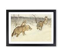 Big Box Art Vintage Brehms Tierleben 1911-14 Wolf Framed Wall Art Picture Print Ready to Hang, Black A2 (62 x 45 cm)