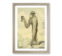 Big Box Art Vintage Charles R Ryley Long-Armed Gibbon Framed Wall Art Picture Print Ready to Hang, Oak A2 (62 x 45 cm)