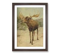Big Box Art Vintage E.A. Holmes Alaskan Moose Framed Wall Art Picture Print Ready to Hang, Walnut A2 (62 x 45 cm)