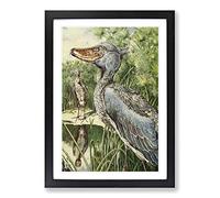 Big Box Art Vintage H Johnston The Whale-Headed Stork at Home Framed Wall Art Picture Print Ready to Hang, Black A2 (62 x 45 cm)