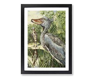 Big Box Art Vintage H Johnston The Whale-Headed Stork at Home Framed Wall Art Picture Print Ready to Hang, Black A2 (62 x 45 cm)