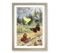 Big Box Art Vintage H Morin European Butterflies Framed Wall Art Picture Print Ready to Hang, Oak A2 (62 x 45 cm)
