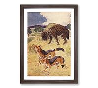 Big Box Art Vintage Percy J Billinghurst Hyena & Jackal Framed Wall Art Picture Print Ready to Hang, Walnut A2 (62 x 45 cm)