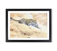 Big Box Art Vintage W Kuhnert African Leopard Framed Wall Art Picture Print Ready to Hang, Black A2 (62 x 45 cm)