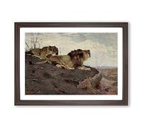 Big Box Art Vintage W Kuhnert Lions (3) Framed Wall Art Picture Print Ready to Hang, Walnut A2 (62 x 45 cm)