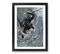Big Box Art Vintage W Kuhnert White-Handed Gibbon Framed Wall Art Picture Print Ready to Hang, Black A2 (62 x 45 cm)