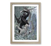 Big Box Art Vintage W Kuhnert White-Handed Gibbon Framed Wall Art Picture Print Ready to Hang, Oak A2 (62 x 45 cm)